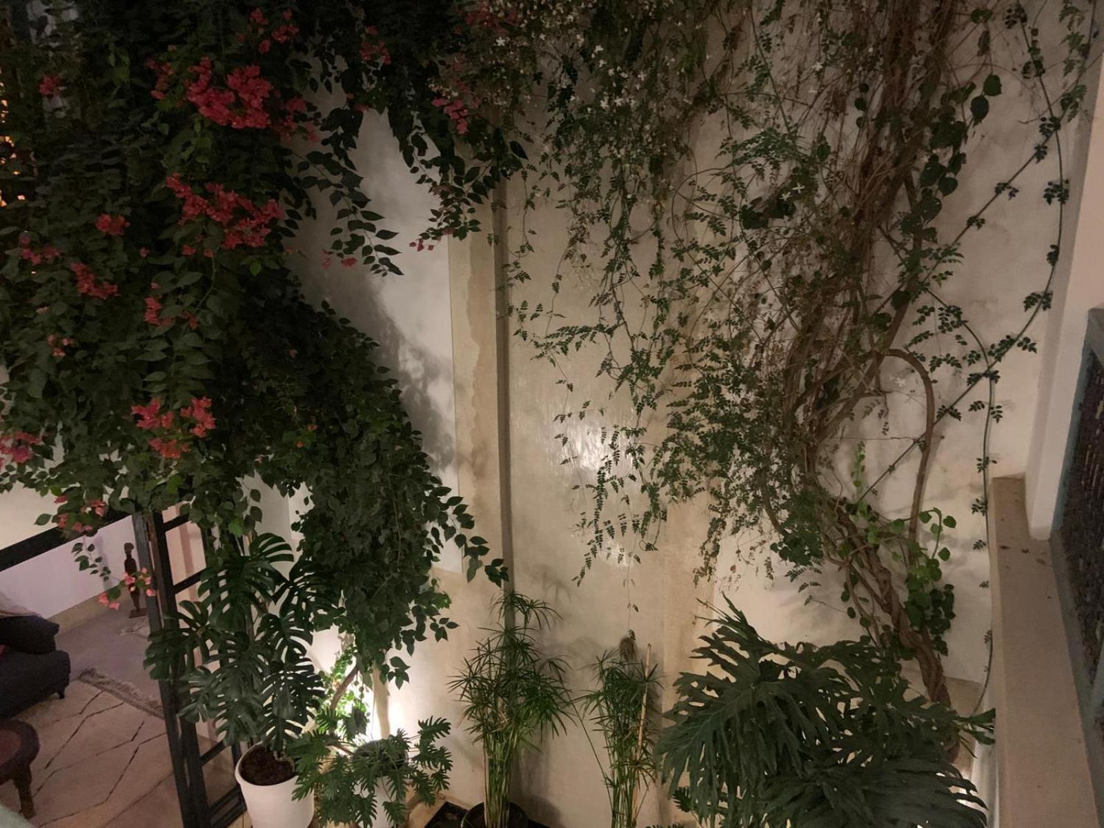 Le Petit Pacha Hotel Marrakesh Buitenkant foto